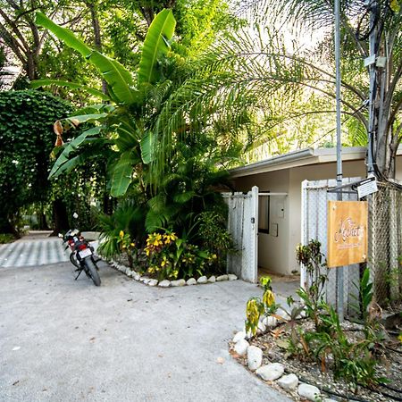 Casa Keshet Villa Playa Santa Teresa  Exteriör bild